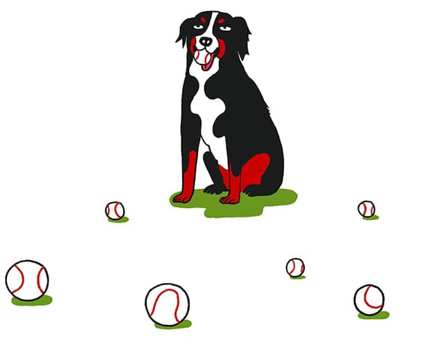 Dog Illustration with Baseballs